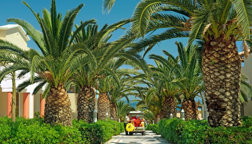 5-star Knossos Royal Beach Resort in Crete | Book Hotel rooms online